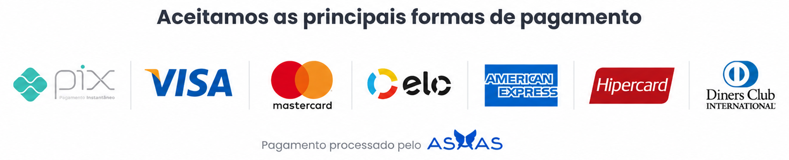 Bandeiras de pagamento aceitas